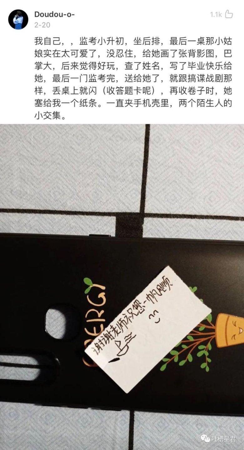 飞天小猪仔