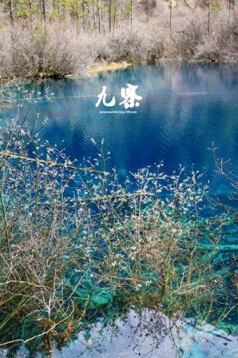 方便食品