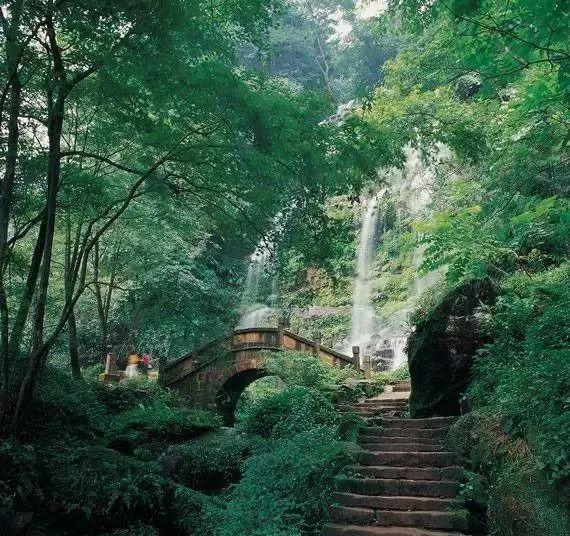 老山羊救援