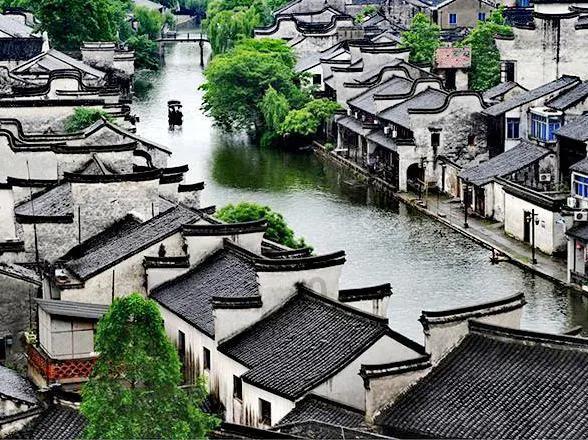 给女朋友送蛇鸟蛋合适吗？游戏画面
